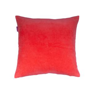 starfish orange 284 