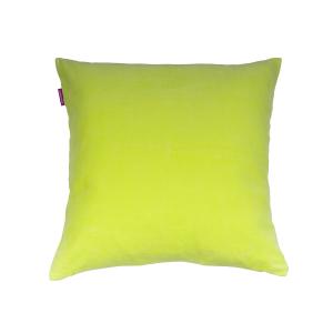 summer lime 286 