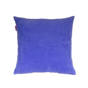 serendipity blue 283 